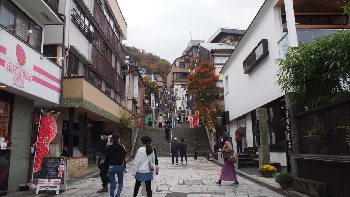 f:id:samayoicyarinko:20201230214109j:plain