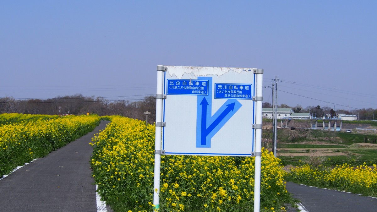 f:id:samayoicyarinko:20210326182835j:plain