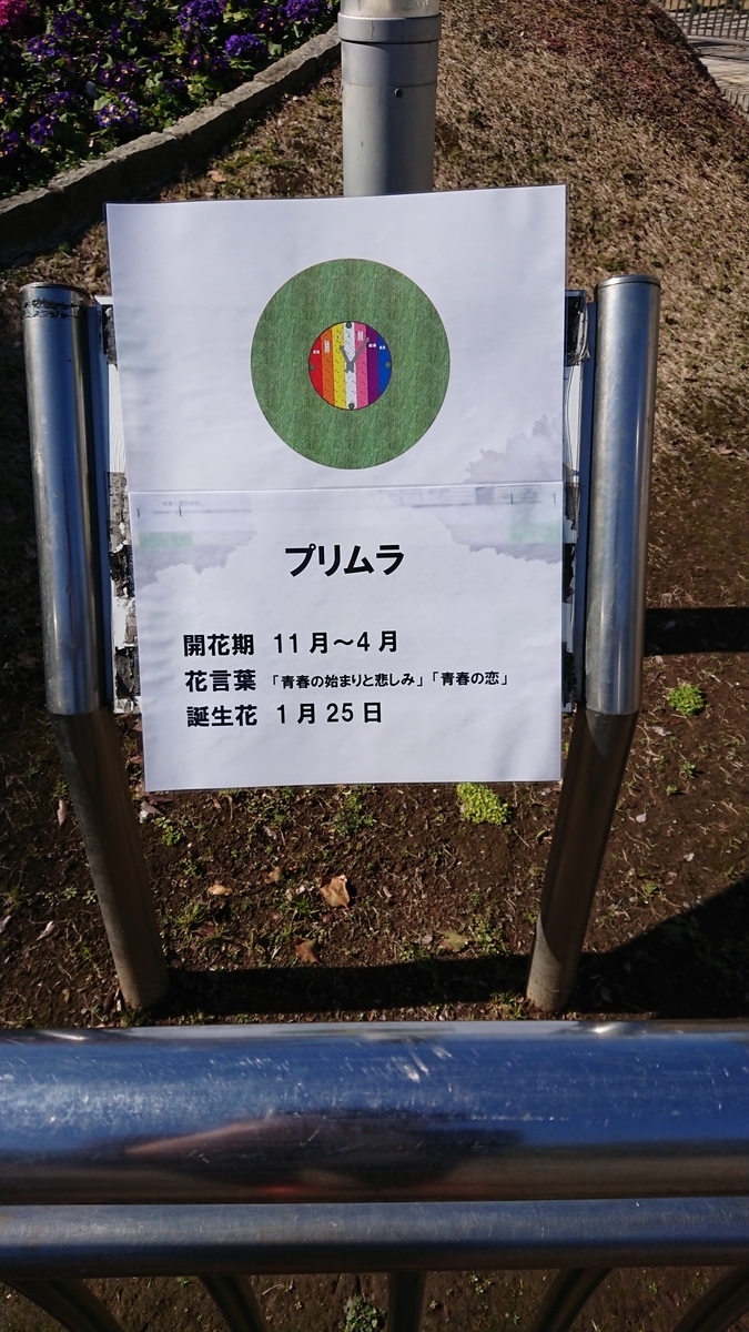 f:id:sameboko:20200226235932j:plain f:id:sameboko:20200226235932j:plain