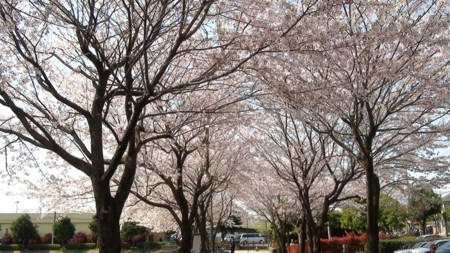 f:id:samejima:20100411133927j:image