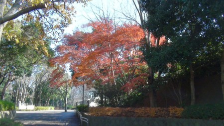 f:id:samejima:20111215120106j:image