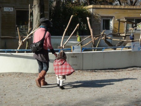 f:id:samejima:20111215121235j:image