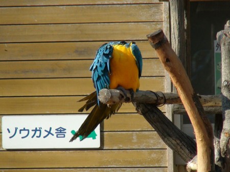 f:id:samejima:20111215121316j:image