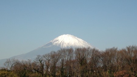 f:id:samejima:20111229105008j:image