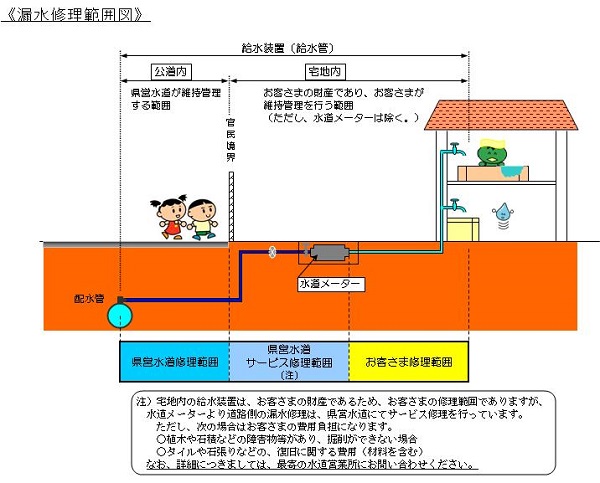 f:id:sameo-japan:20190521170900j:plain f:id:sameo-japan:20190521170900j:plain