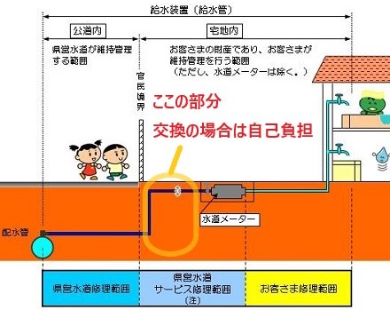 f:id:sameo-japan:20190521192626j:plain f:id:sameo-japan:20190521192626j:plain