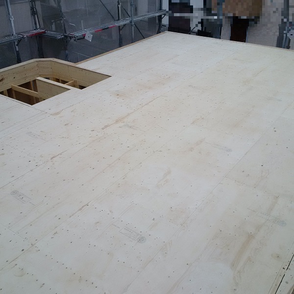 f:id:sameo-japan:20190528145048j:plain f:id:sameo-japan:20190528145048j:plain