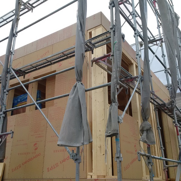 f:id:sameo-japan:20190528145101j:plain f:id:sameo-japan:20190528145101j:plain