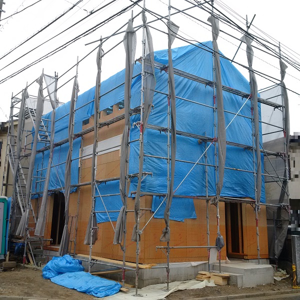 f:id:sameo-japan:20190603140343j:plain