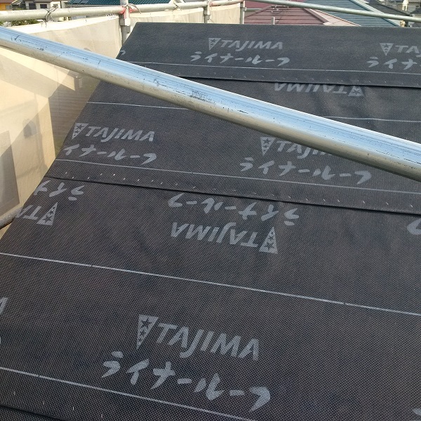 f:id:sameo-japan:20190607113510j:plain