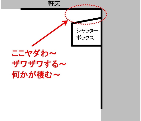 f:id:sameo-japan:20190702082223j:plain f:id:sameo-japan:20190702082223j:plain