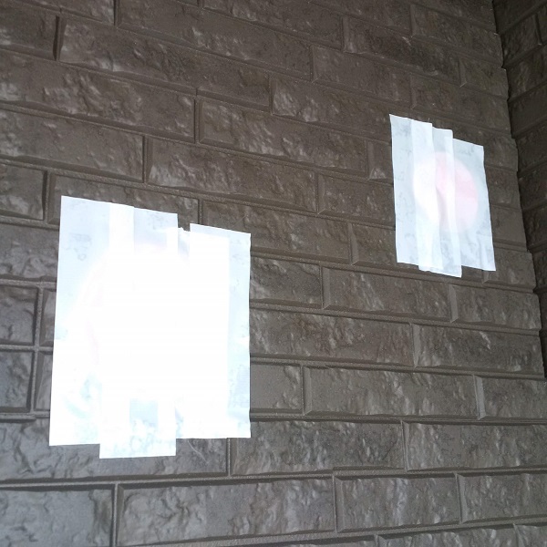 f:id:sameo-japan:20190703094456j:plain f:id:sameo-japan:20190703094456j:plain