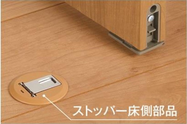 f:id:sameo-japan:20190723121205j:plain