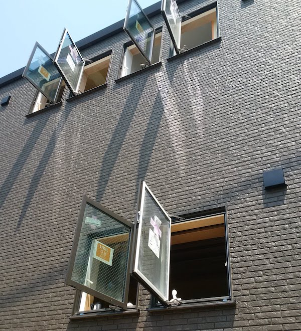 f:id:sameo-japan:20190804024353j:plain