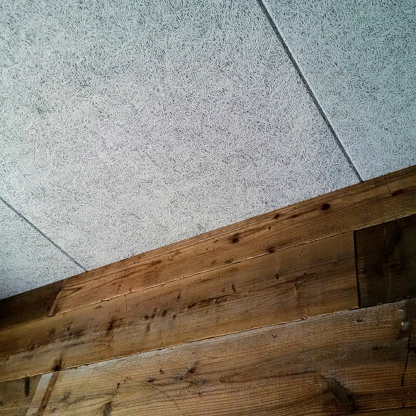 f:id:sameo-japan:20190806112034j:plain