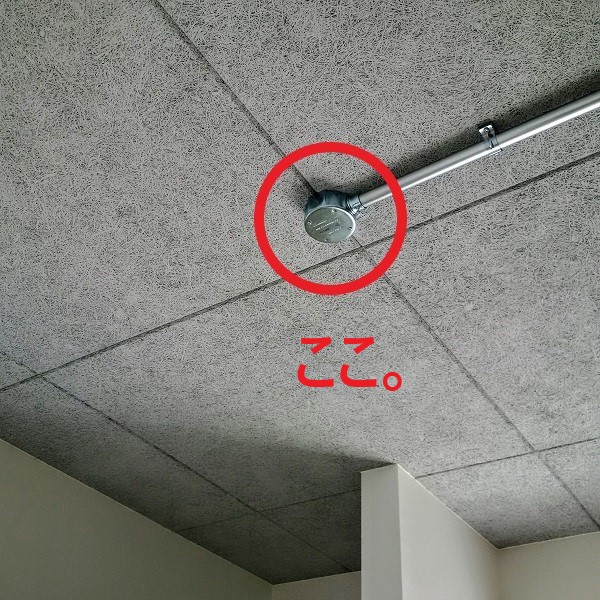 f:id:sameo-japan:20190830094025j:plain f:id:sameo-japan:20190830094025j:plain