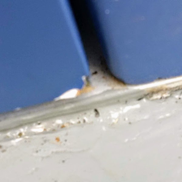 f:id:sameo-japan:20190920224108j:plain