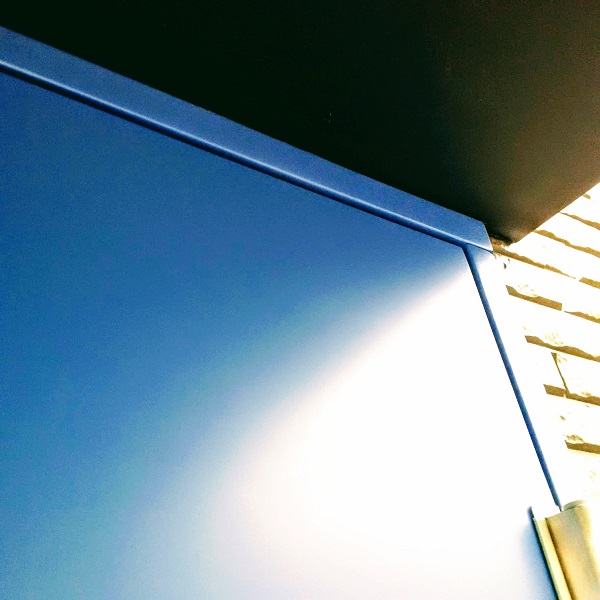 f:id:sameo-japan:20191028112954j:plain f:id:sameo-japan:20191028112954j:plain