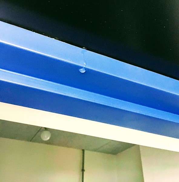 f:id:sameo-japan:20191111190249j:plain f:id:sameo-japan:20191111190249j:plain