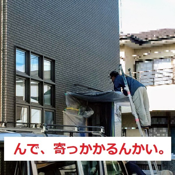 f:id:sameo-japan:20191112115517j:plain f:id:sameo-japan:20191112115517j:plain