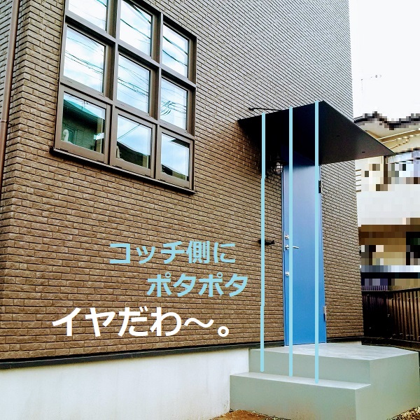 f:id:sameo-japan:20191112130937j:plain f:id:sameo-japan:20191112130937j:plain