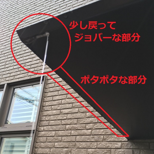 f:id:sameo-japan:20191112131116j:plain f:id:sameo-japan:20191112131116j:plain