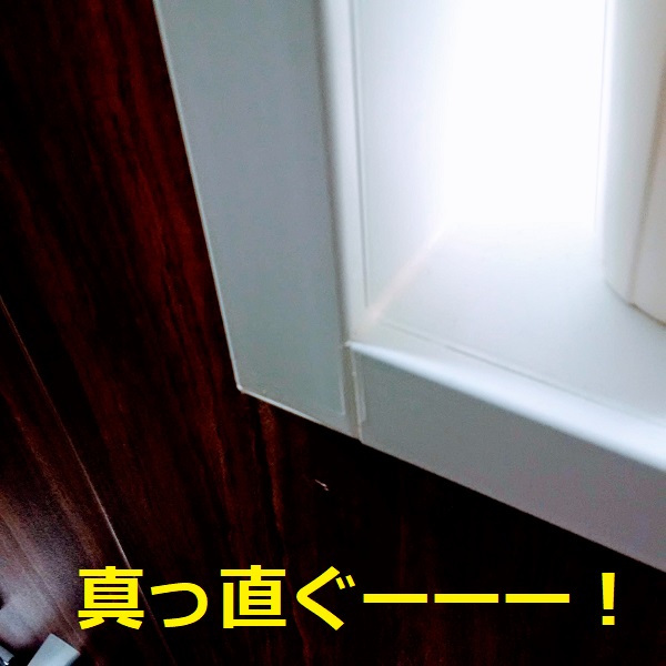 f:id:sameo-japan:20200217110140j:plain