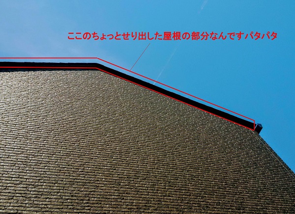 f:id:sameo-japan:20200605151901j:plain f:id:sameo-japan:20200605151901j:plain