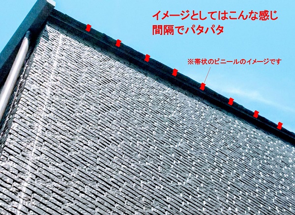 f:id:sameo-japan:20200605151924j:plain f:id:sameo-japan:20200605151924j:plain