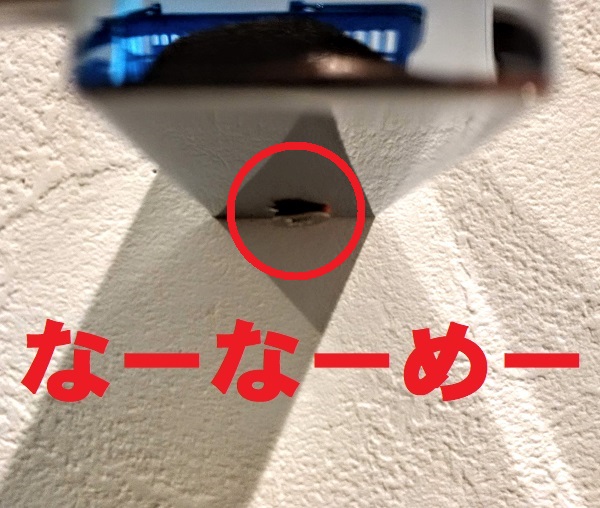 f:id:sameo-japan:20200911100554j:plain f:id:sameo-japan:20200911100554j:plain