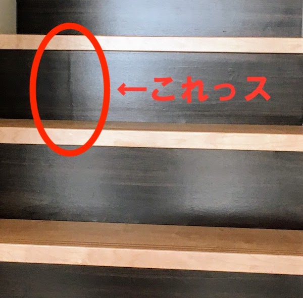 f:id:sameo-japan:20210124002332j:plain