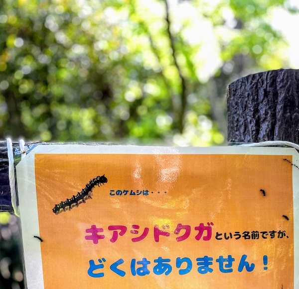 f:id:sameo-japan:20210420141538j:plain