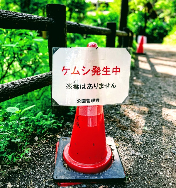 f:id:sameo-japan:20210420143219j:plain