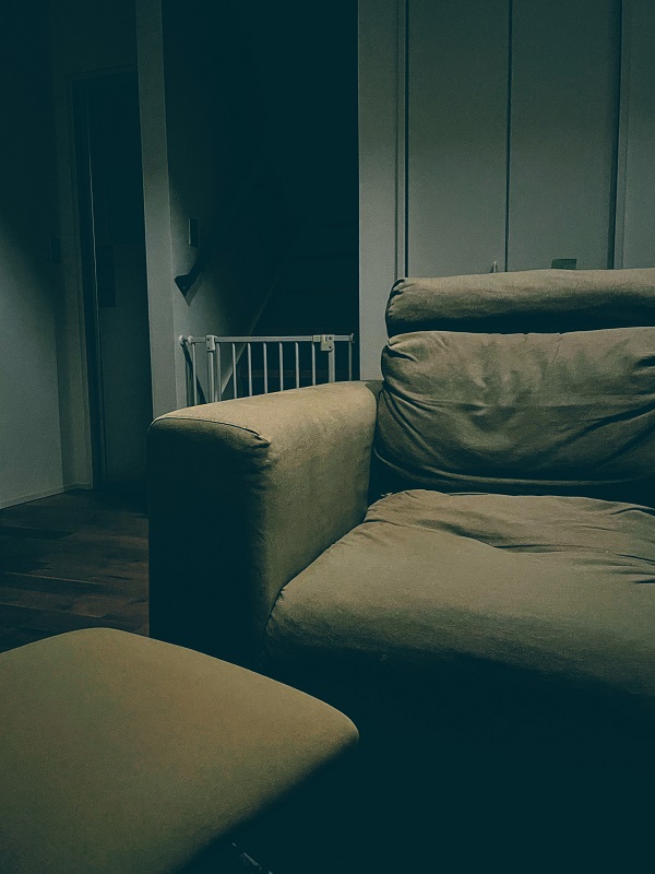 f:id:sameo-japan:20210519115249j:plain