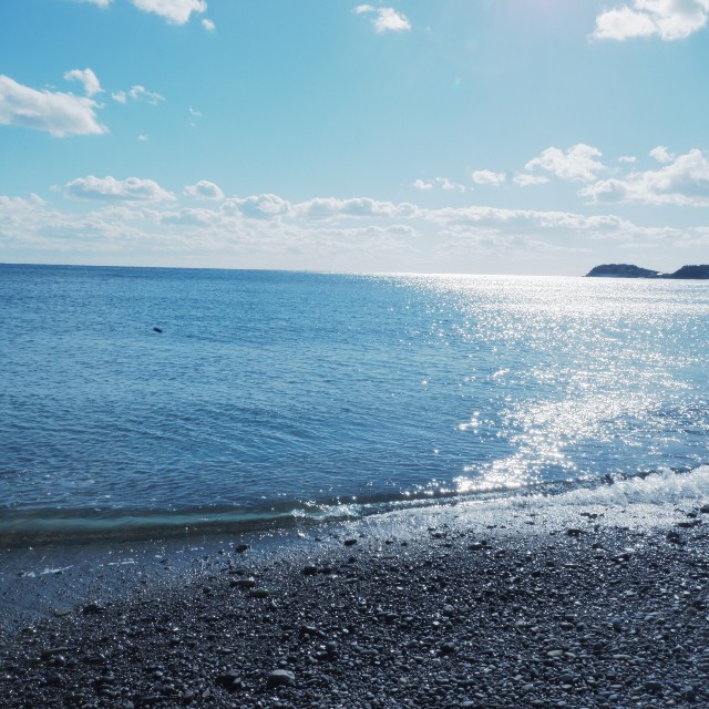 f:id:samete_yume:20230107222214j:image