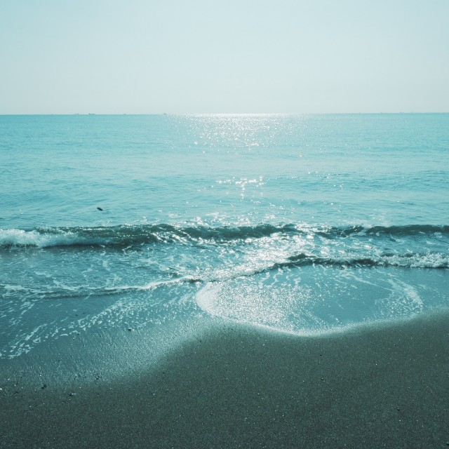 f:id:samete_yume:20230110071320j:image f:id:samete_yume:20230110071320j:image