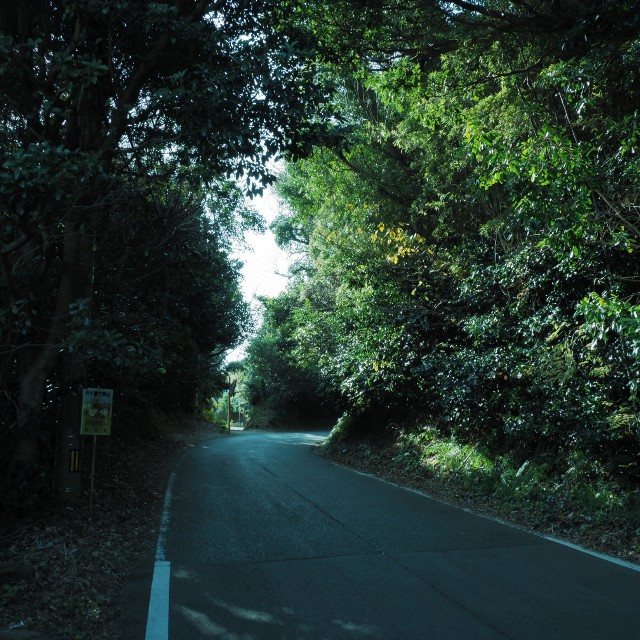 f:id:samete_yume:20230111084620j:image