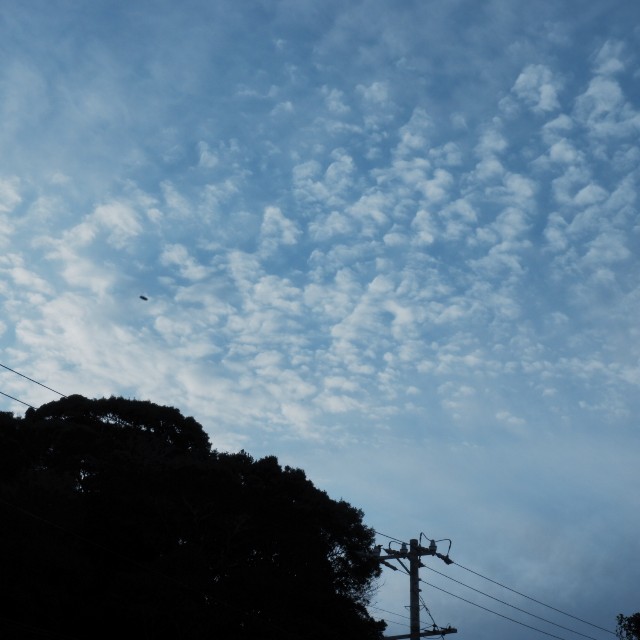 f:id:samete_yume:20230118015206j:image