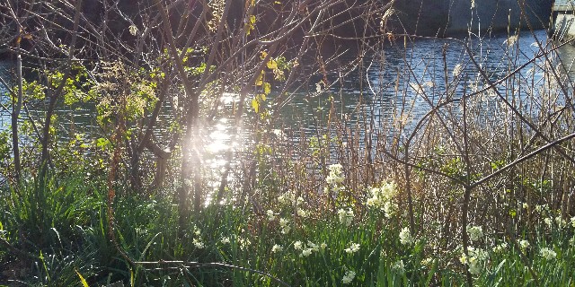 f:id:samete_yume:20230118194936j:image f:id:samete_yume:20230118194936j:image