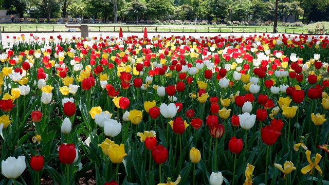 f:id:samete_yume:20230119013350j:image