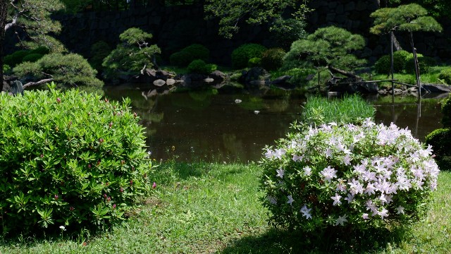 f:id:samete_yume:20230119013438j:image