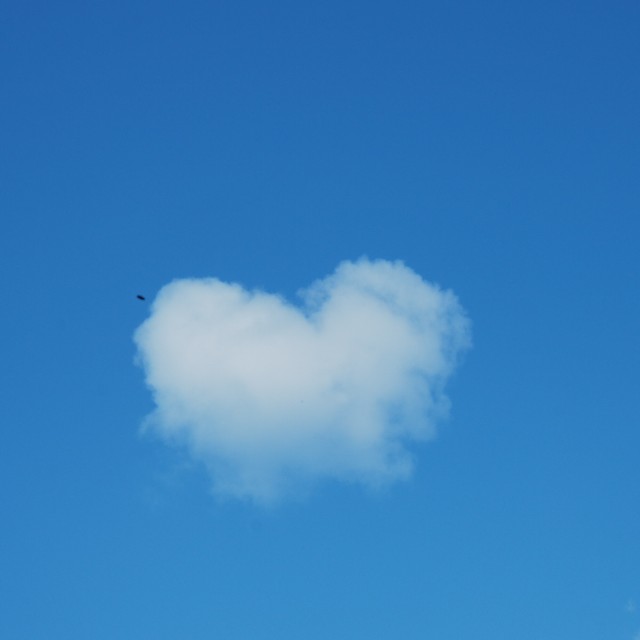 f:id:samete_yume:20230124143943j:image