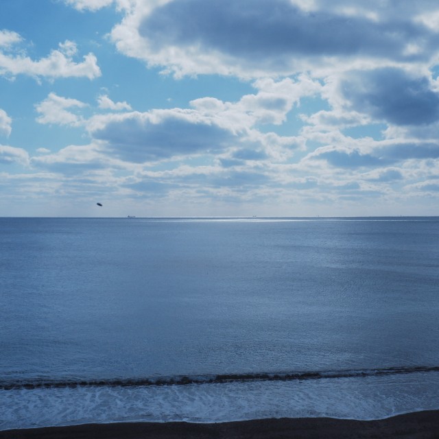 f:id:samete_yume:20230127015456j:image f:id:samete_yume:20230127015456j:image