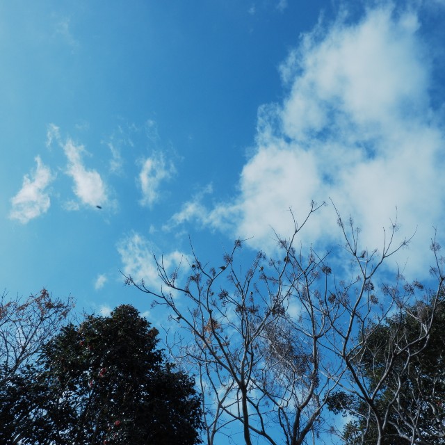 f:id:samete_yume:20230129140826j:image