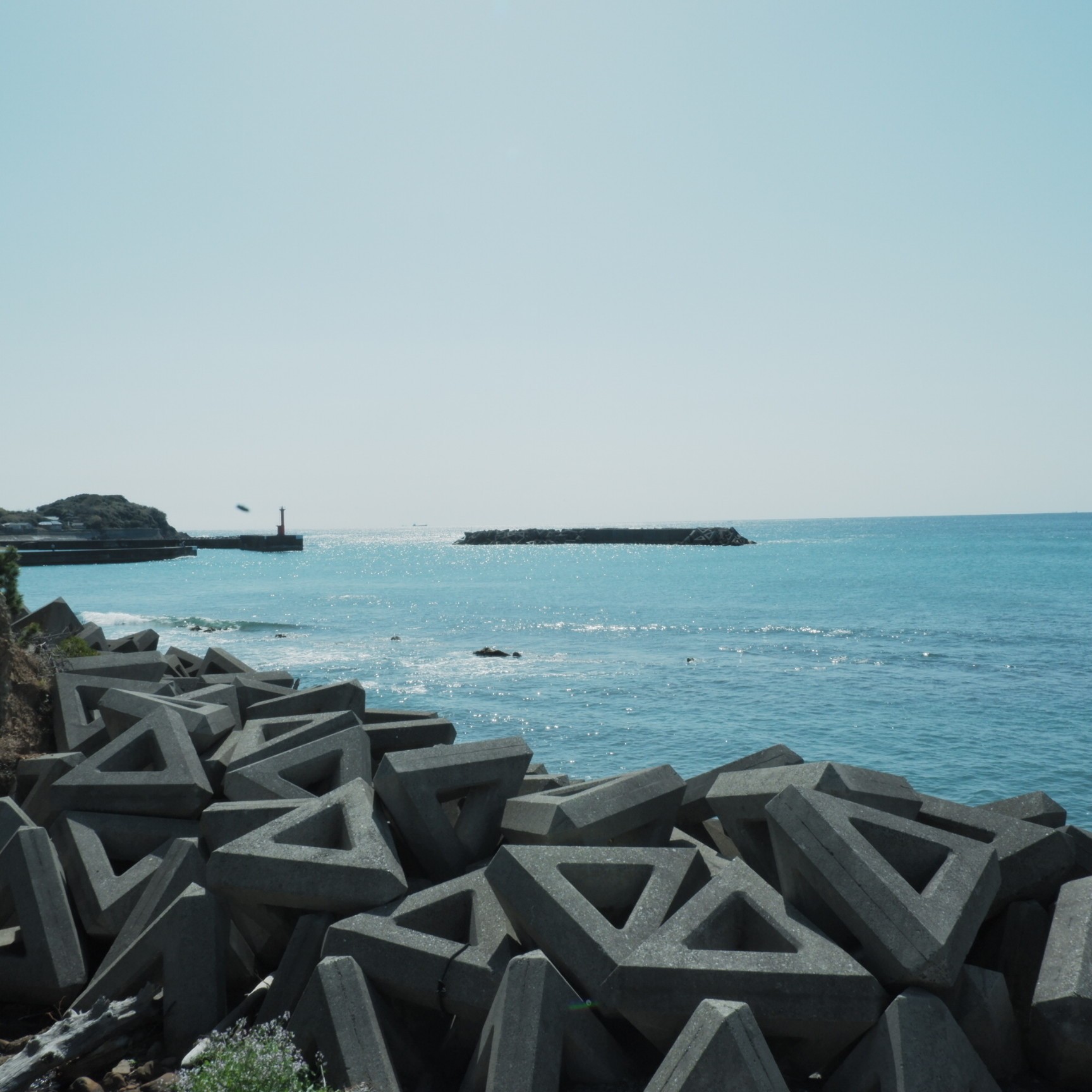 f:id:samete_yume:20230401233929j:image