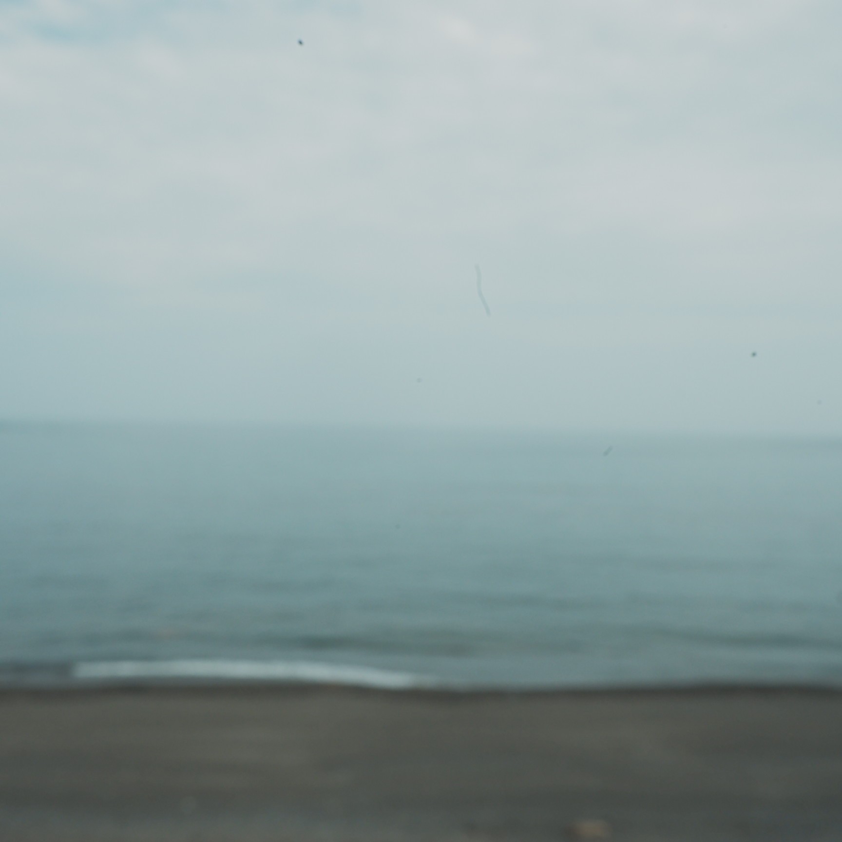 f:id:samete_yume:20230711015724j:image