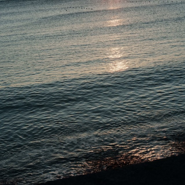 f:id:samete_yume:20240101205133j:image