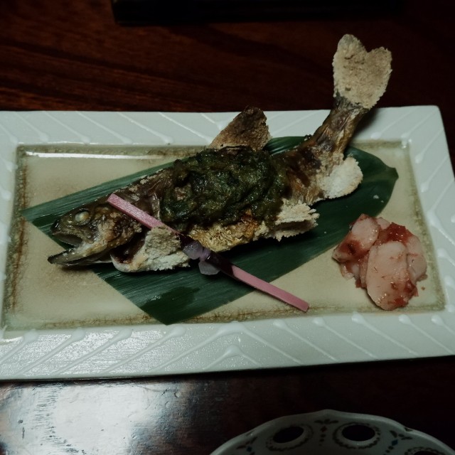 f:id:samete_yume:20240416220513j:image f:id:samete_yume:20240416220513j:image