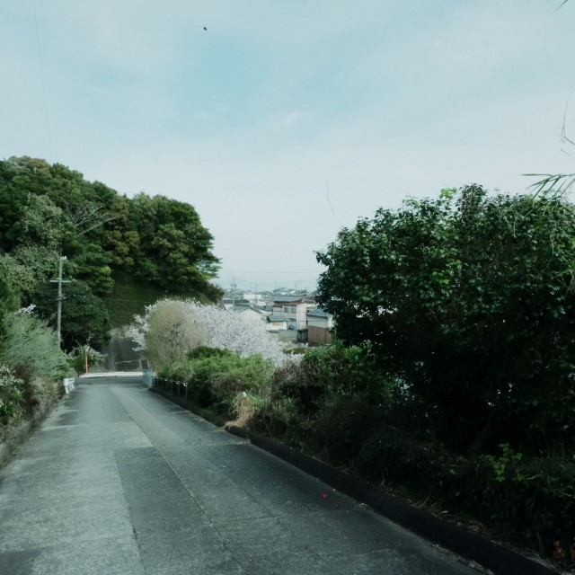 f:id:samete_yume:20240418224603j:image
