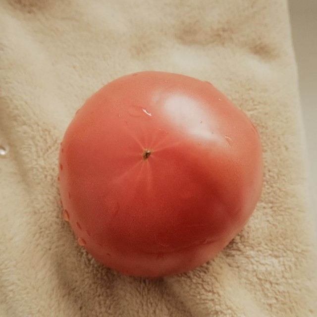 f:id:samete_yume:20240621022347j:image